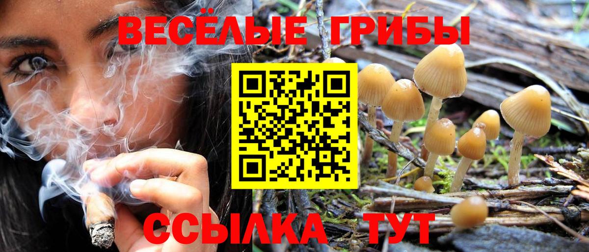 Псилоцибиновые грибы MAGIC MUSHROOMS  Вход с VPN  Реж 